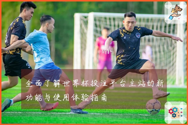 全面了解世界杯投注平台主站的新功能与使用体验指南
