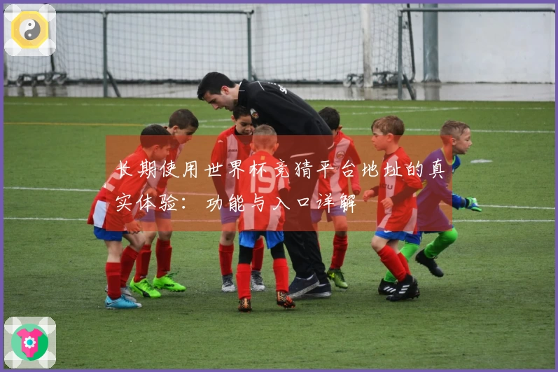 长期使用世界杯竞猜平台地址的真实体验：功能与入口详解