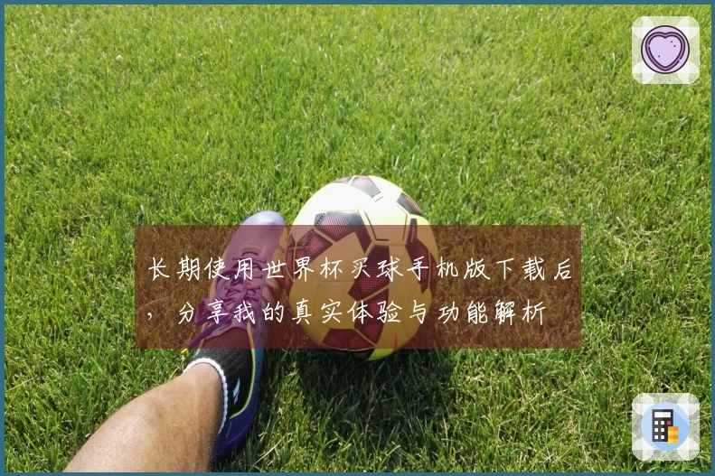 长期使用世界杯买球手机版下载后，分享我的真实体验与功能解析