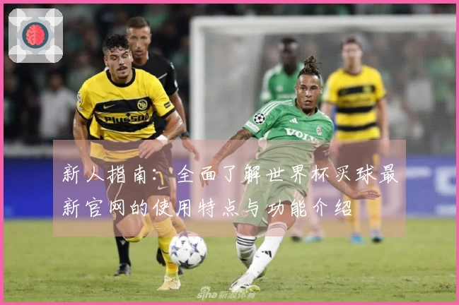 新人指南：全面了解世界杯买球最新官网的使用特点与功能介绍