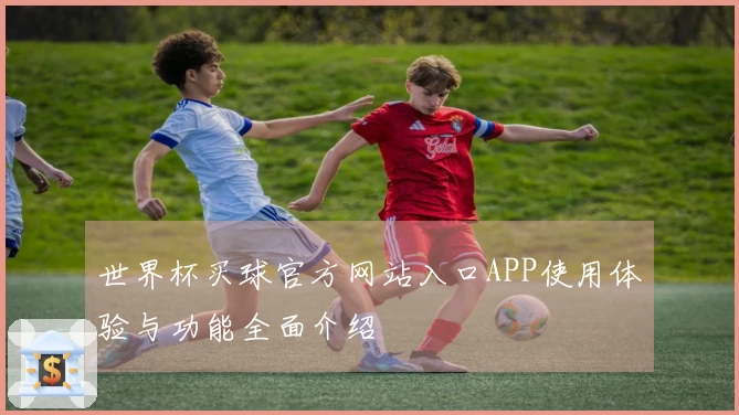 世界杯买球官方网站入口APP使用体验与功能全面介绍