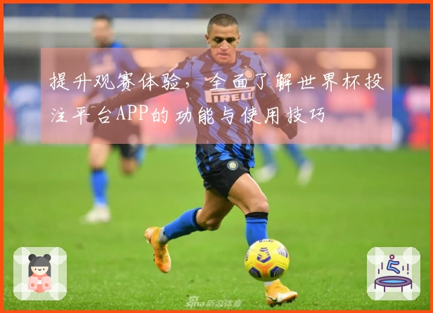 提升观赛体验，全面了解世界杯投注平台APP的功能与使用技巧